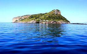 TEA Isola Dino - HOTEL&HOME - Praia a Mare